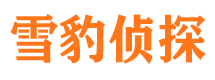 桃城市调查公司